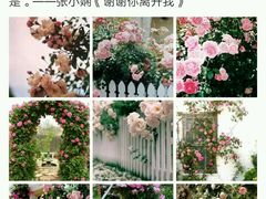 -万利隆·活力烘焙(人民路店)