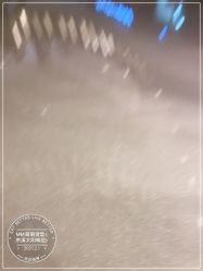 -苏豪路易士·嘉玛发廊