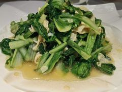 腐皮鸡毛菜-江南厨子(万象天地店)