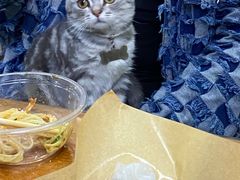 -肥燕越南卷粉(车陂西华花园店)