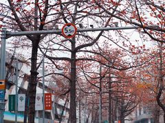 -烈士陵园(地铁站)