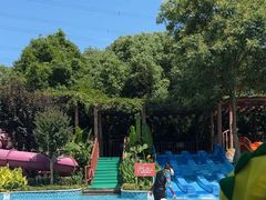 -苏州乐园森林水世界