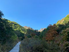 -灵山