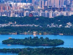 -野蔓果·山野菜(西湖景区·龙井茶田店)