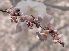 -静安雕塑公园