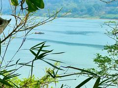 -羚羊峡古栈道森林公园