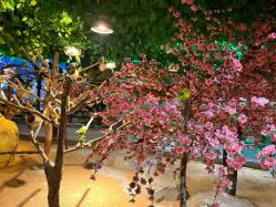 -酷嗒动物文化乐园(cutezoo西溪乐天城店)