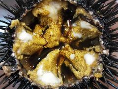 -海胆小馆(东北水饺·春柳店)