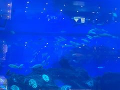 -成都浩海立方海洋公园