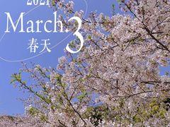 -苏州上方山国家森林公园