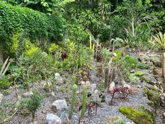 -中国科学院西双版纳热带植物园