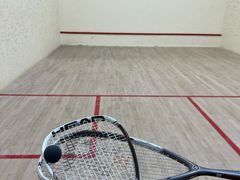 -健身专家Wellness Experts