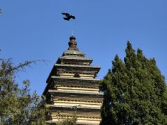 -洛阳白马寺