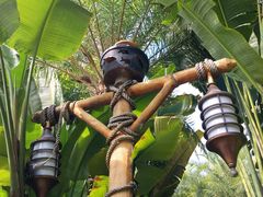 -碧桂园润杨溪谷温泉酒店