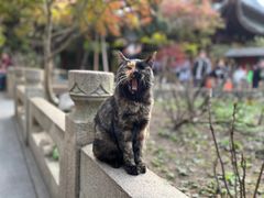 -龙华寺