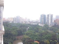 -晓港公园