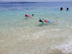 -东姑阿都拉曼海洋公园