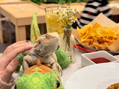 -FAIRYLAND龙族星球主题餐厅(凯丹广场店)