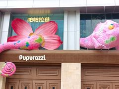 -帕帕拉兹宠物(亚洲旗舰店)