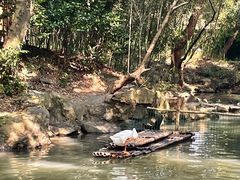 -兰亭风景区