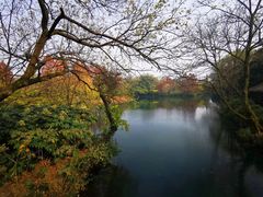 -西湖天地