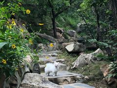 -北京水岸山吧度假村(雁栖镇店)