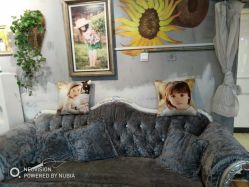 点击看大图 -Angel Fish photography 儿童摄影工作室(亚运村店)