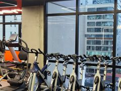 -健身专家Wellness Experts