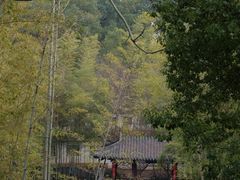 -求雨山文化公园
