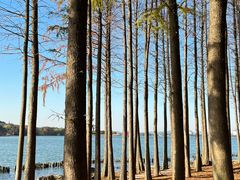 -长广溪湿地公园
