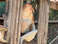 -广州长隆野生动物世界