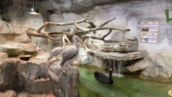 -Zoolung Zoolung动物主题公园(海信广场店)