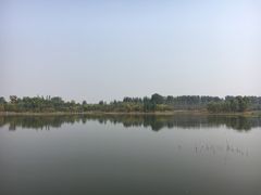 -东郊湿地公园