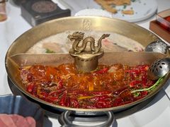 -小龙翻大江文化火锅(宽窄店)