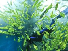 -福州罗源湾海洋世界旅游区