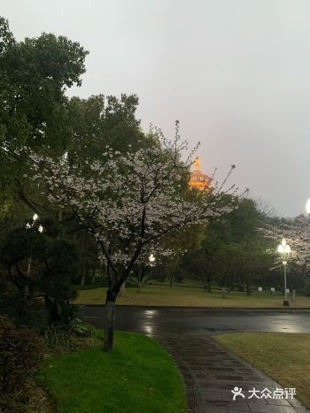 星期五晚上 见完客户 外面下雨 ～  实在没什么办法