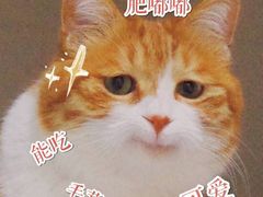 -明日世界密室轰趴·剧本桌游·箭馆团建(国贸店)