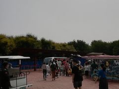 -西青郊野公园