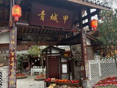 -青城甲(青城山店)