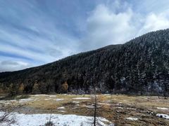 -黄龙山原始森林景区