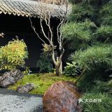温州漂亮饭的卷王