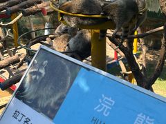 -西霞口神雕山野生动物世界