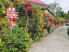 -优游吧斯邹族文化部落