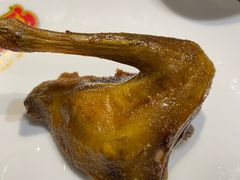 -大鸽饭(马王堆店)