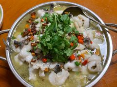 -全乐鱼馆·淳牌有机鱼直营店
