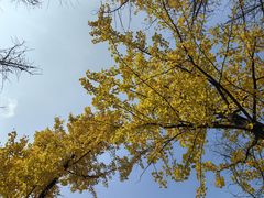 -重庆中央公园(渝北区)