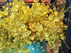 -大鸭梨烤鸭(枣园店)