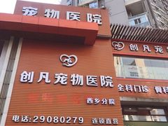 -创凡宠物医院·骨专科  猫科中心(西乡分院)