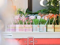 -COACH蔻驰(星光68广场店)