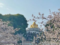 -苏州上方山国家森林公园